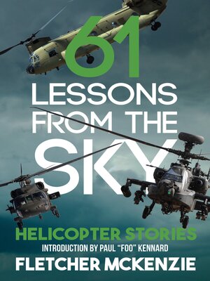 cover image of 61 Lessons From the Sky